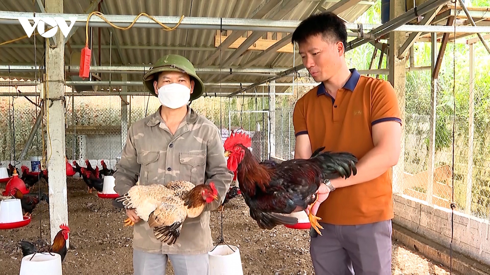 Chuẩn bị tốt nguồn thực phẩm phục vụ dịp cuối năm