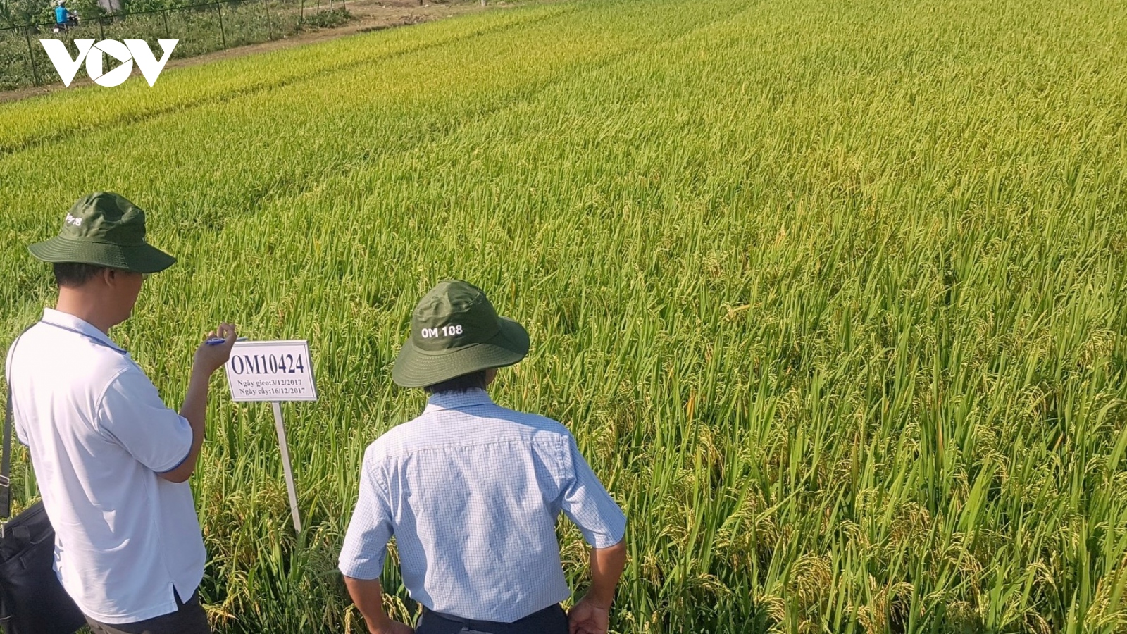 Tổ chức Tổng điều tra nông thôn, nông nghiệp năm 2025