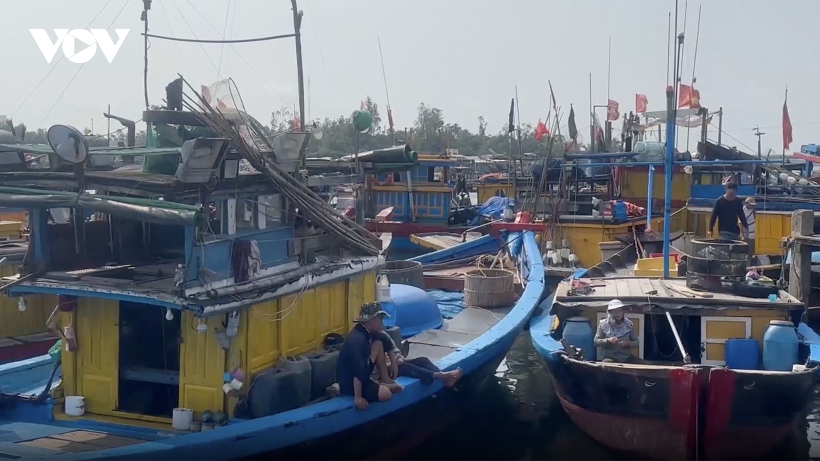 Ngư dân Quảng Ngãi tuân thủ quy định “Đi khai về báo”