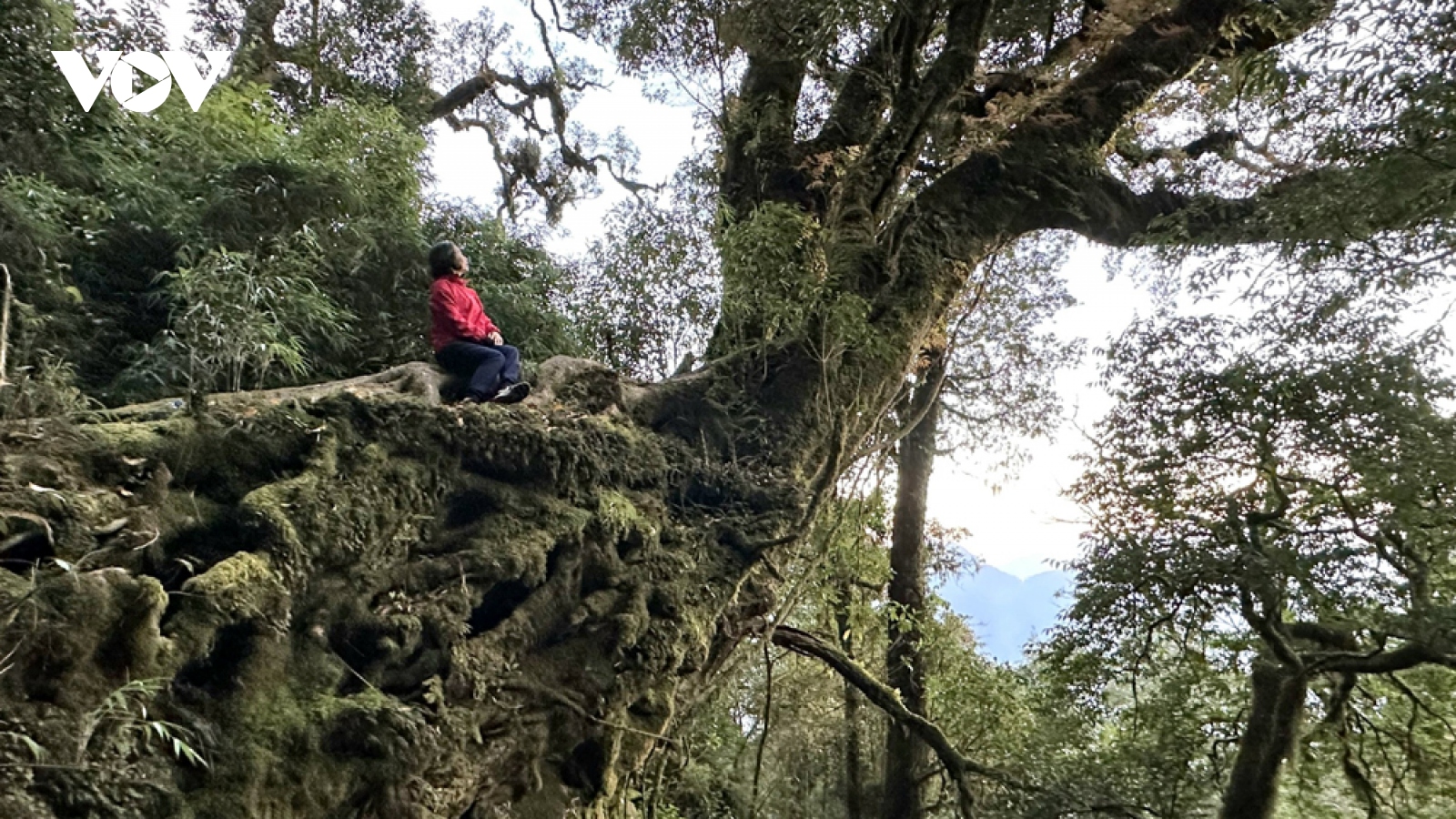 Bứt phá du lịch Lai Châu
