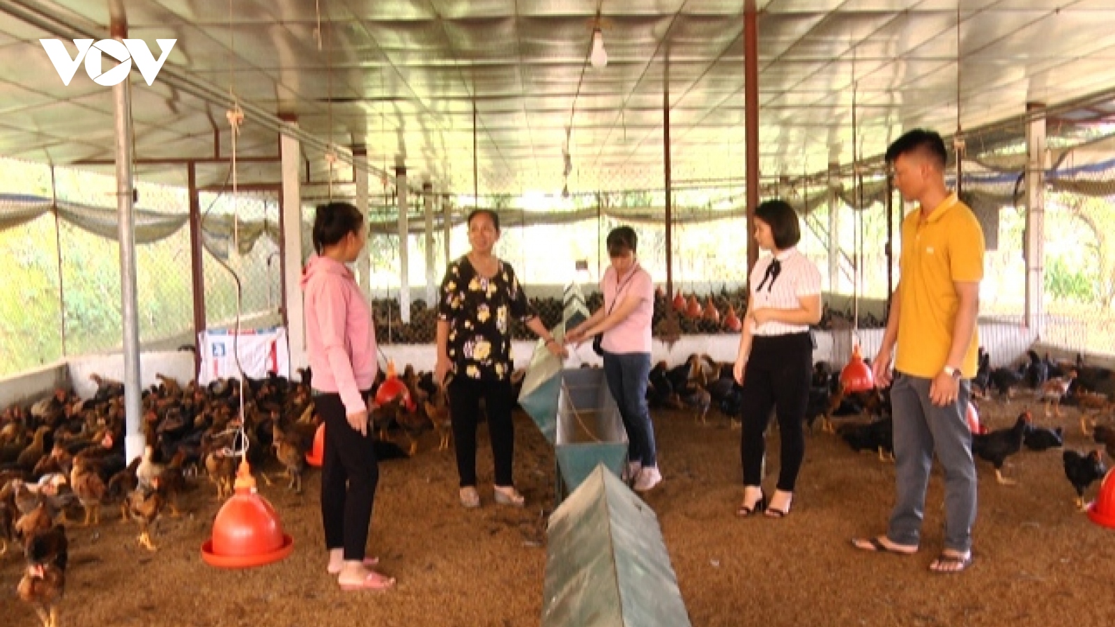 Phát triển nông nghiệp xanh - hướng đi đúng ở vùng dân tộc miền núi Yên Bái