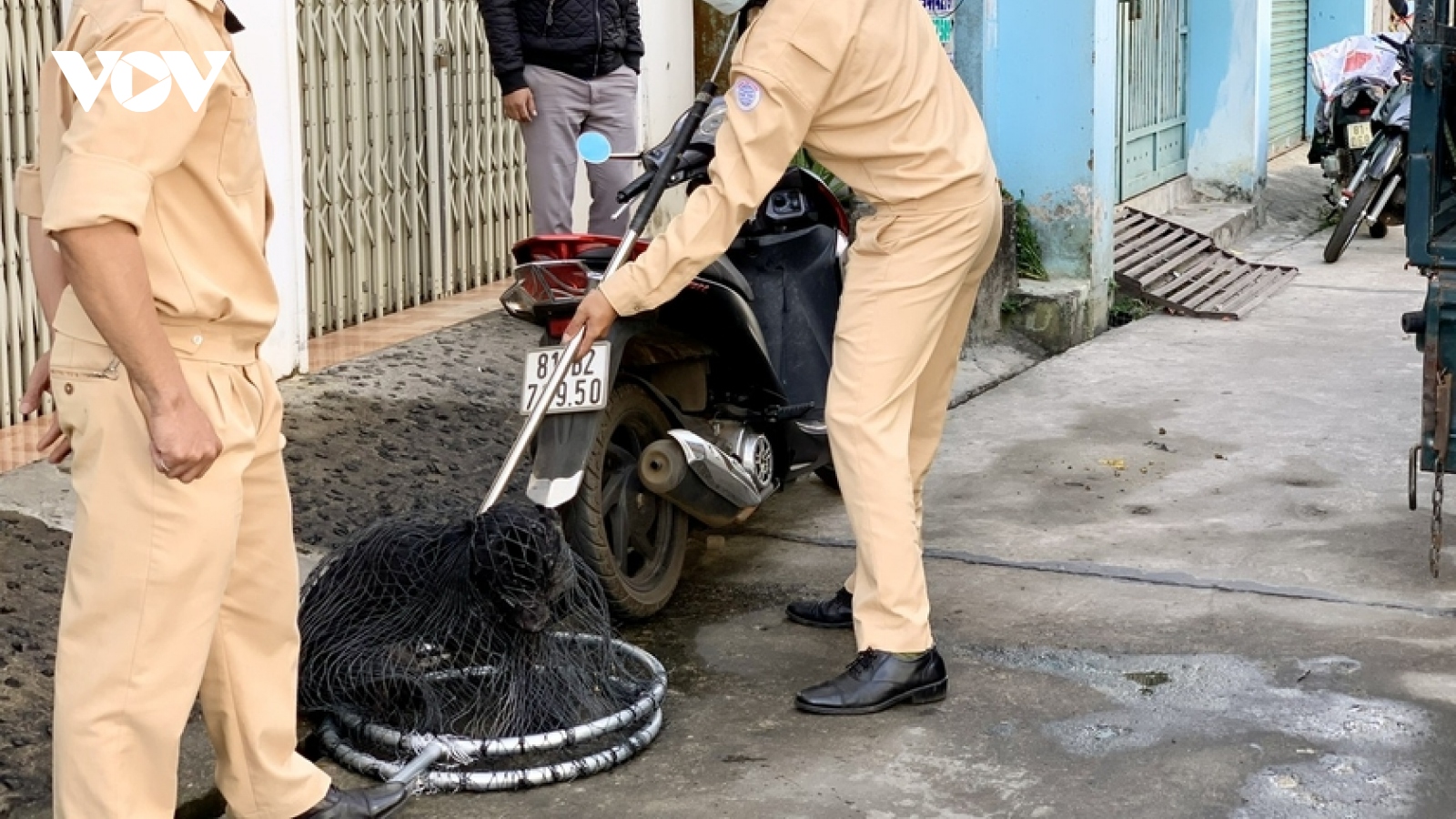 Gia Lai tiếp tục có người tử vong vì bệnh dại do bị chó nuôi cào