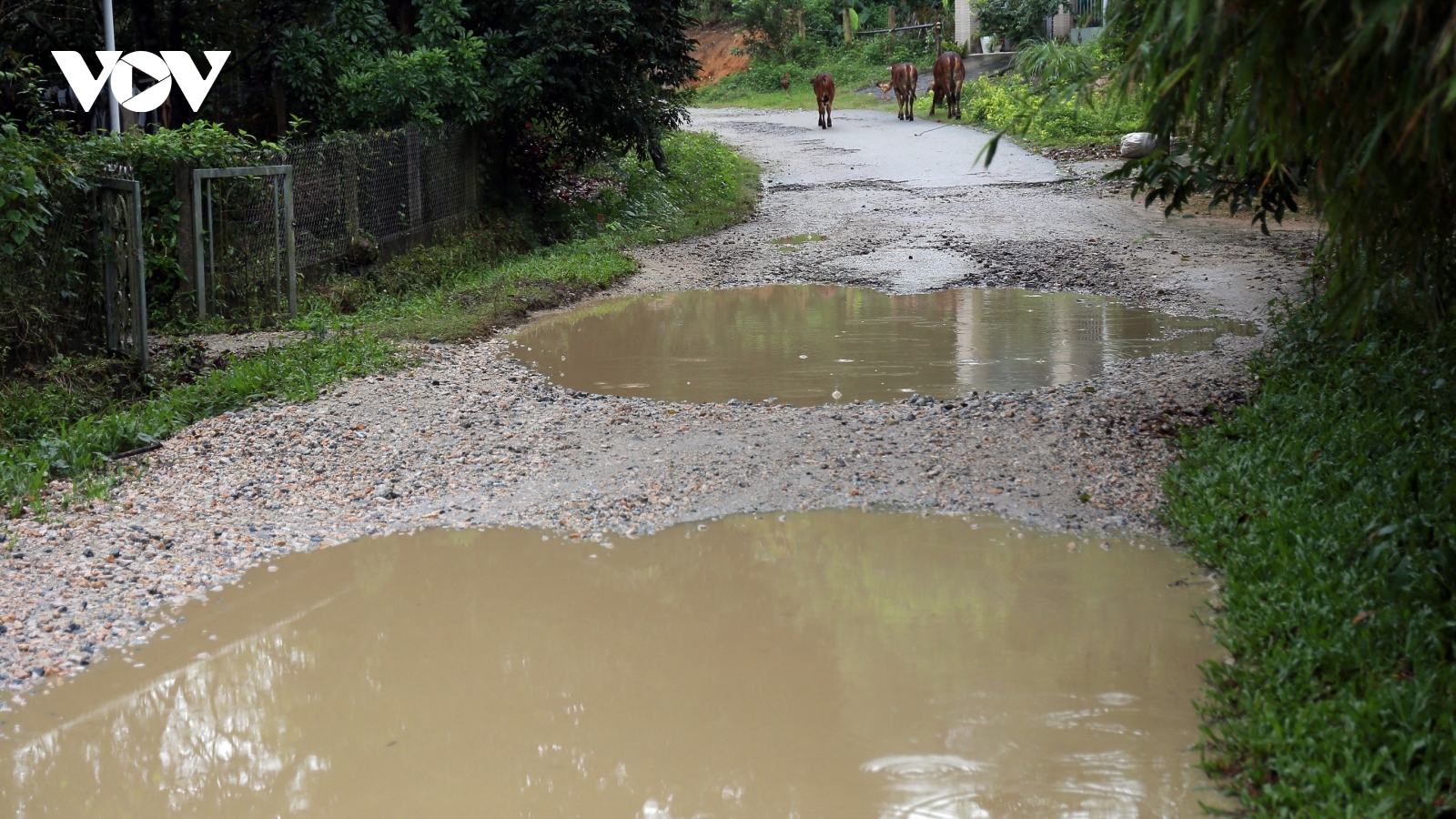 Quảng Nam chưa xử lý được người đứng đầu khi tỷ lệ giải ngân đầu tư công thấp