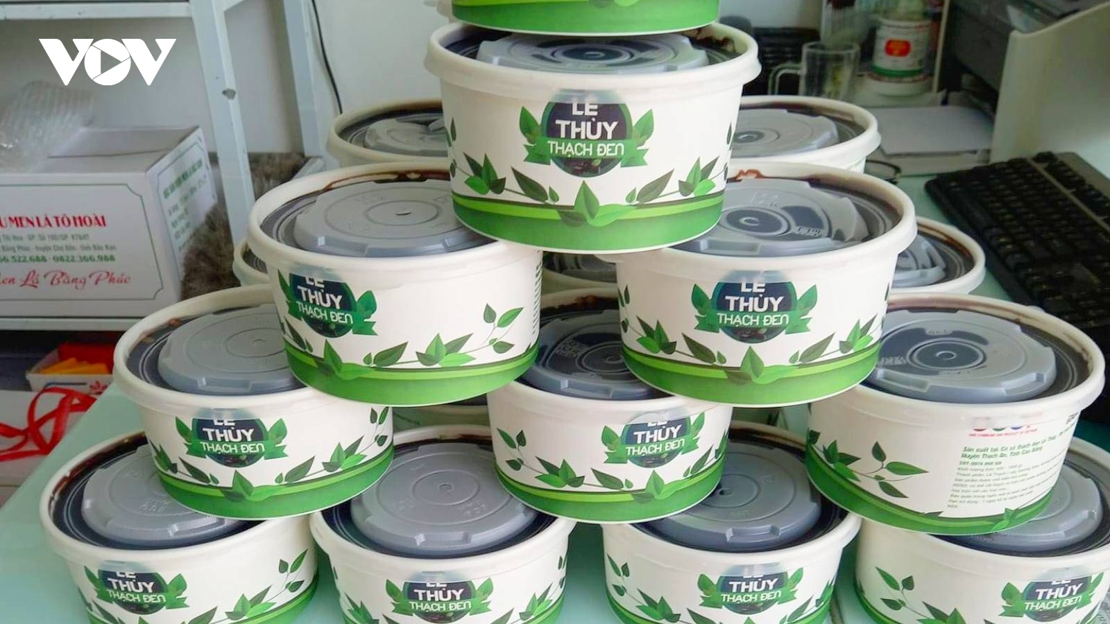 Cao Bằng phát huy hiệu quả kinh tế từ cây thạch đen