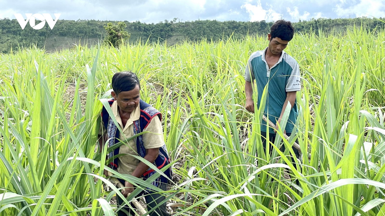 Gia Lai nỗ lực giảm nghèo bền vững qua từng năm