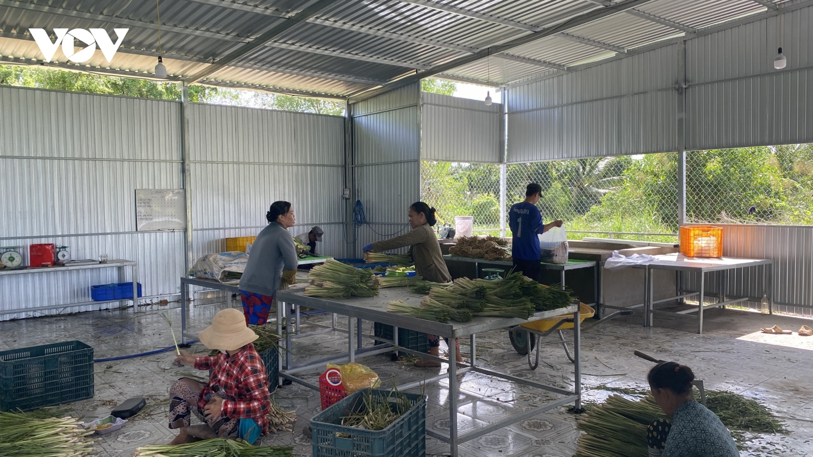 Chủ động tháo gỡ khó khăn cho doanh nghiệp