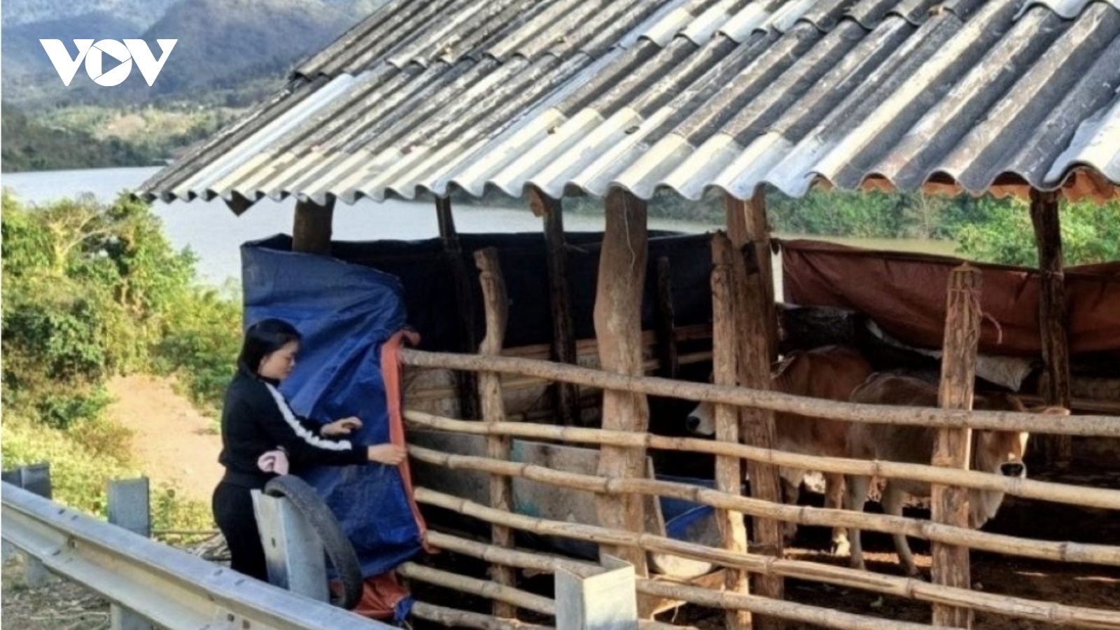 Các tỉnh Bắc Trung Bộ chủ động ứng phó với rét đậm, rét hại