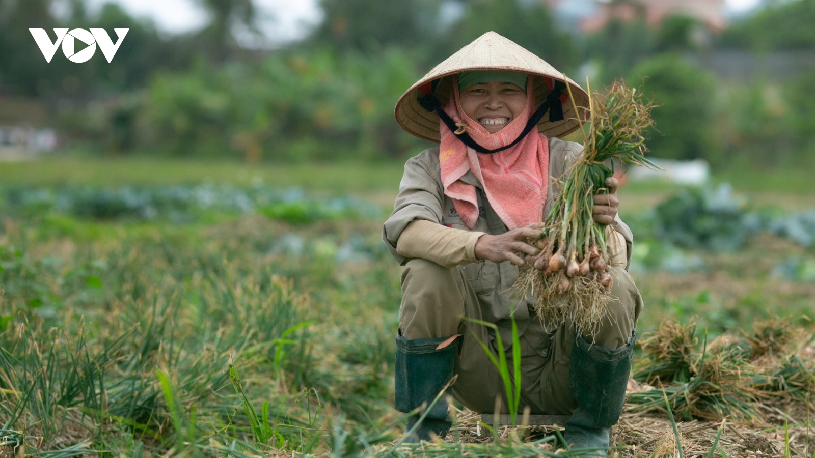 Nông dân Hải Dương rộn ràng xuống đồng đầu năm mới