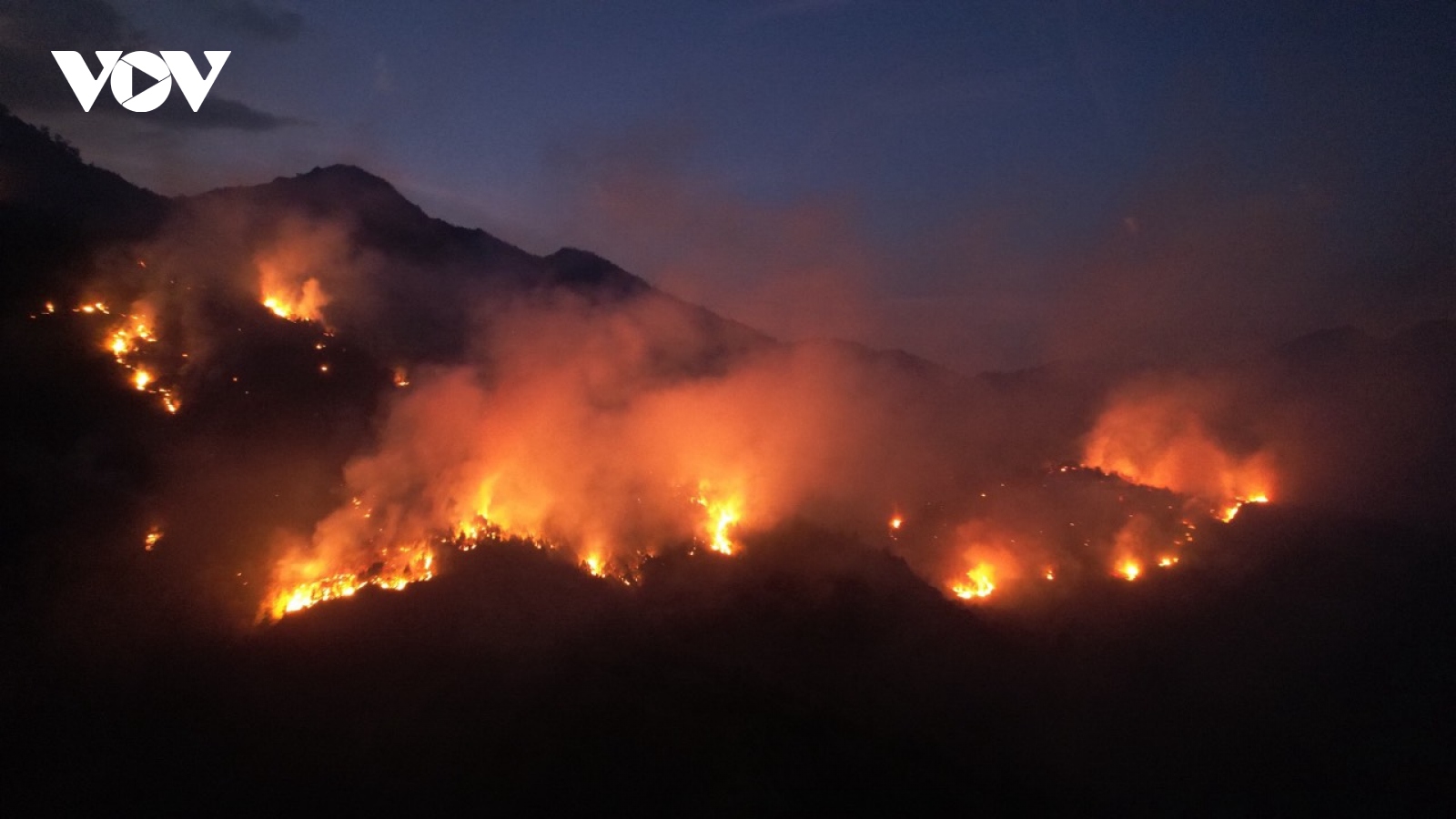 Khống chế thành công đám cháy trên rừng Hoàng Liên không để lan sang Lai Châu