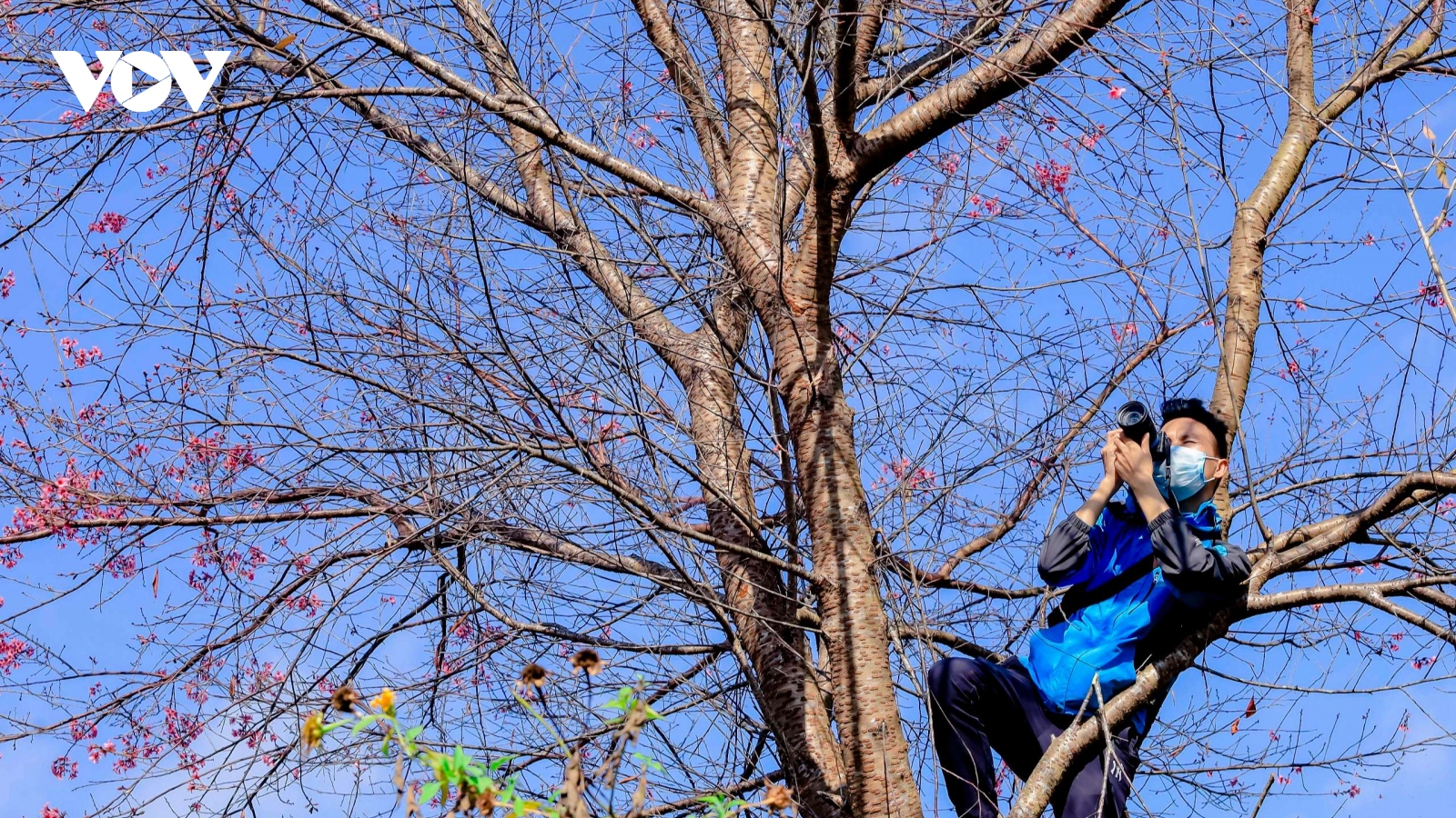 Sắc xuân rẻo cao qua ống kính nhiếp ảnh