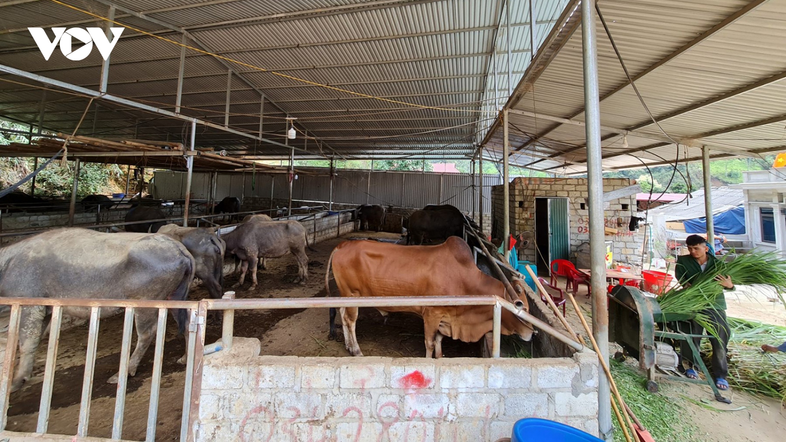 Bắc Kạn tập trung triển khai chương trình mục tiêu quốc gia