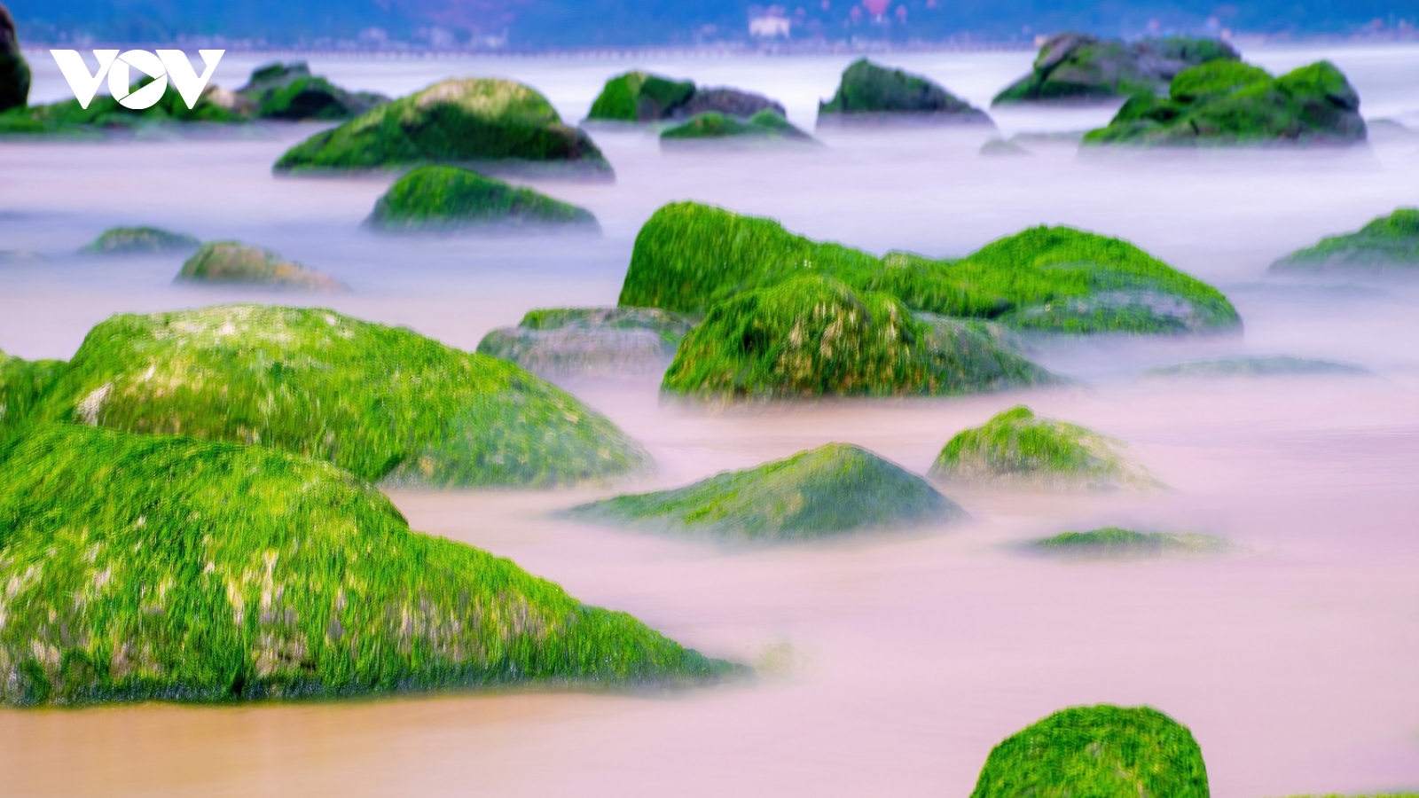 Đẹp ngỡ ngàng bãi rạn Nam Ô