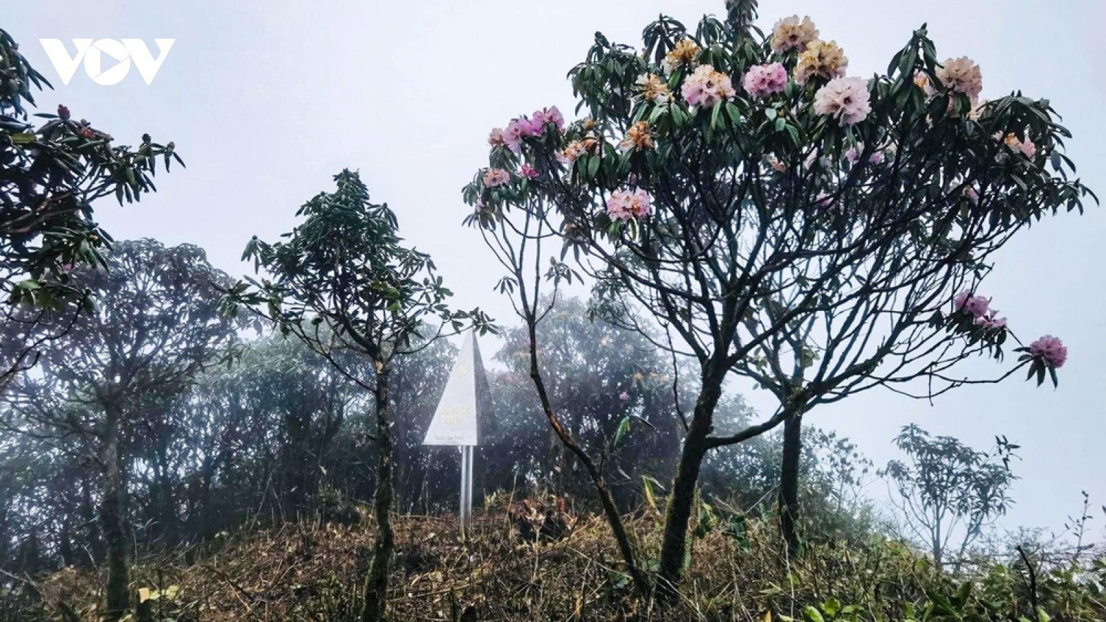 Siết chặt quản lý hoạt động du lịch leo núi tại Lai Châu