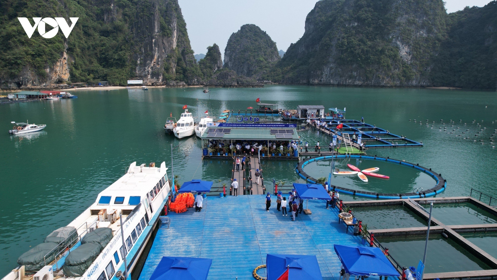 Khai thác đa giá trị từ nuôi biển