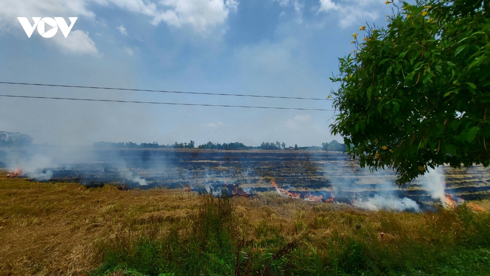 Tử vong khi đi đốt rơm ngoài đồng