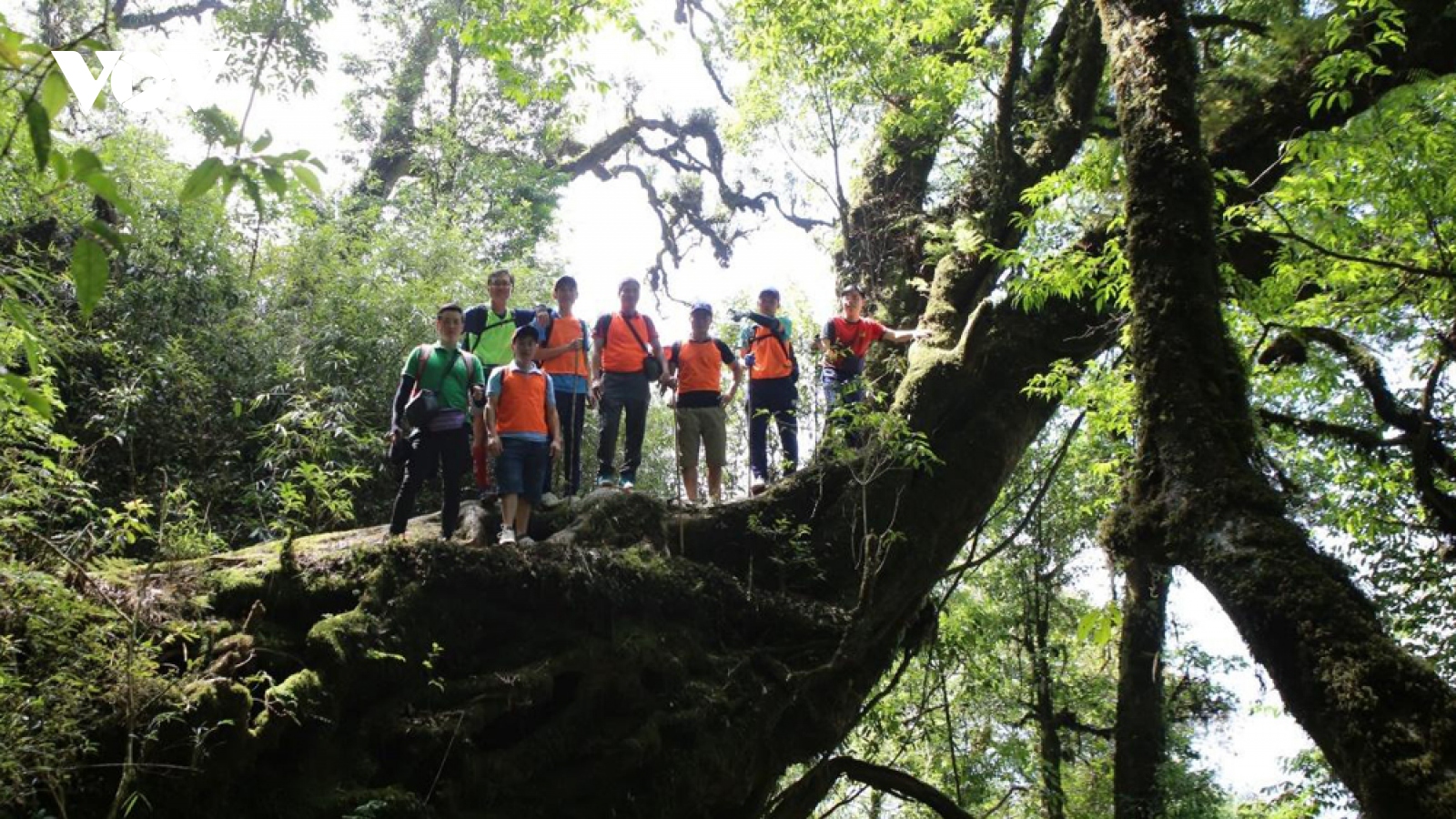 Trải nghiệm leo núi hút khách du lịch đến Lai Châu