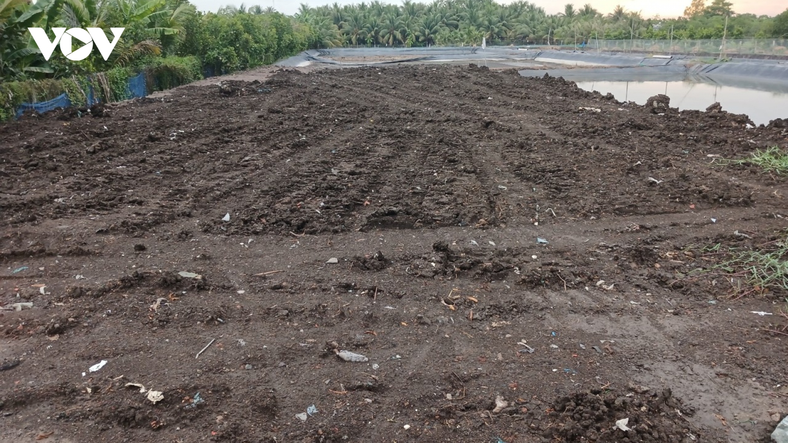 Đất bùn cặn bã tuồn về Tiền Giang - Người dân kêu cứu