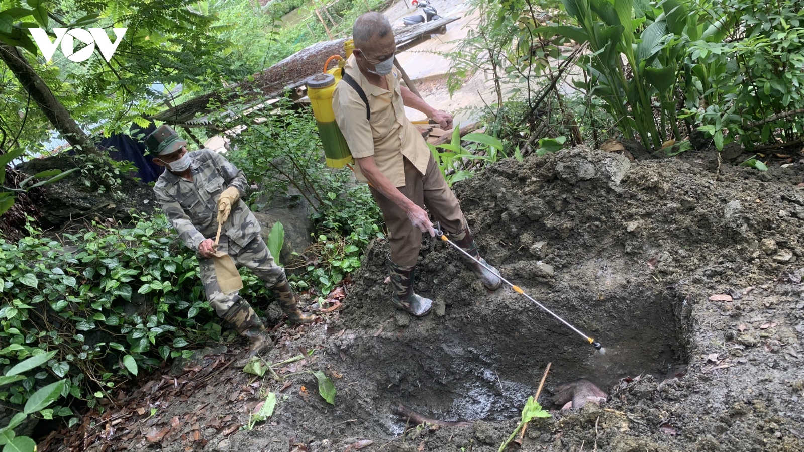 Dịch tả lợn châu Phi tiếp tục lây lan rộng ở Bắc Kạn