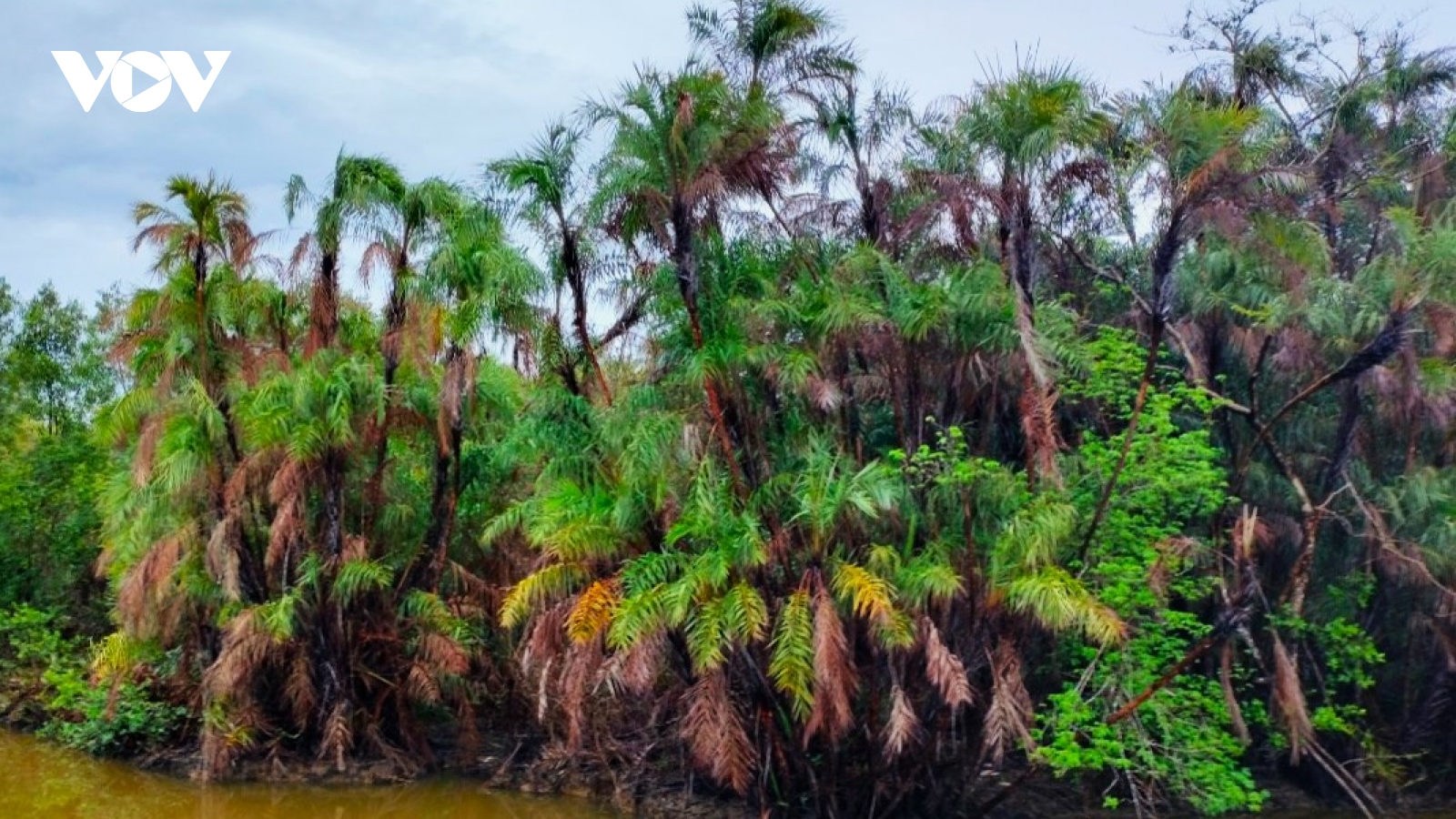 Vườn chim Chà Là có bị bỏ quên?