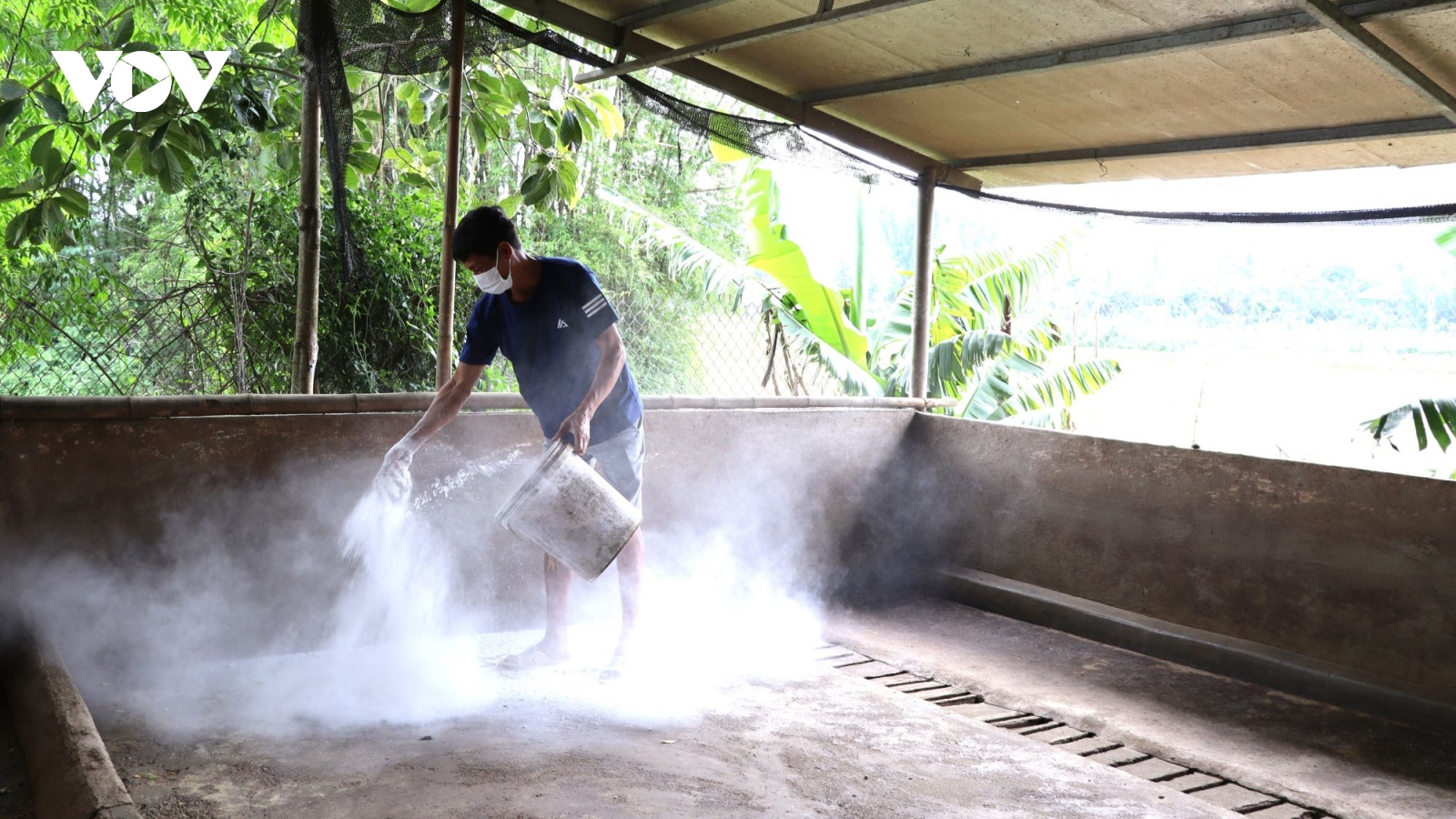 Điện Biên nỗ lực kiểm soát bệnh dịch tả lợn châu Phi