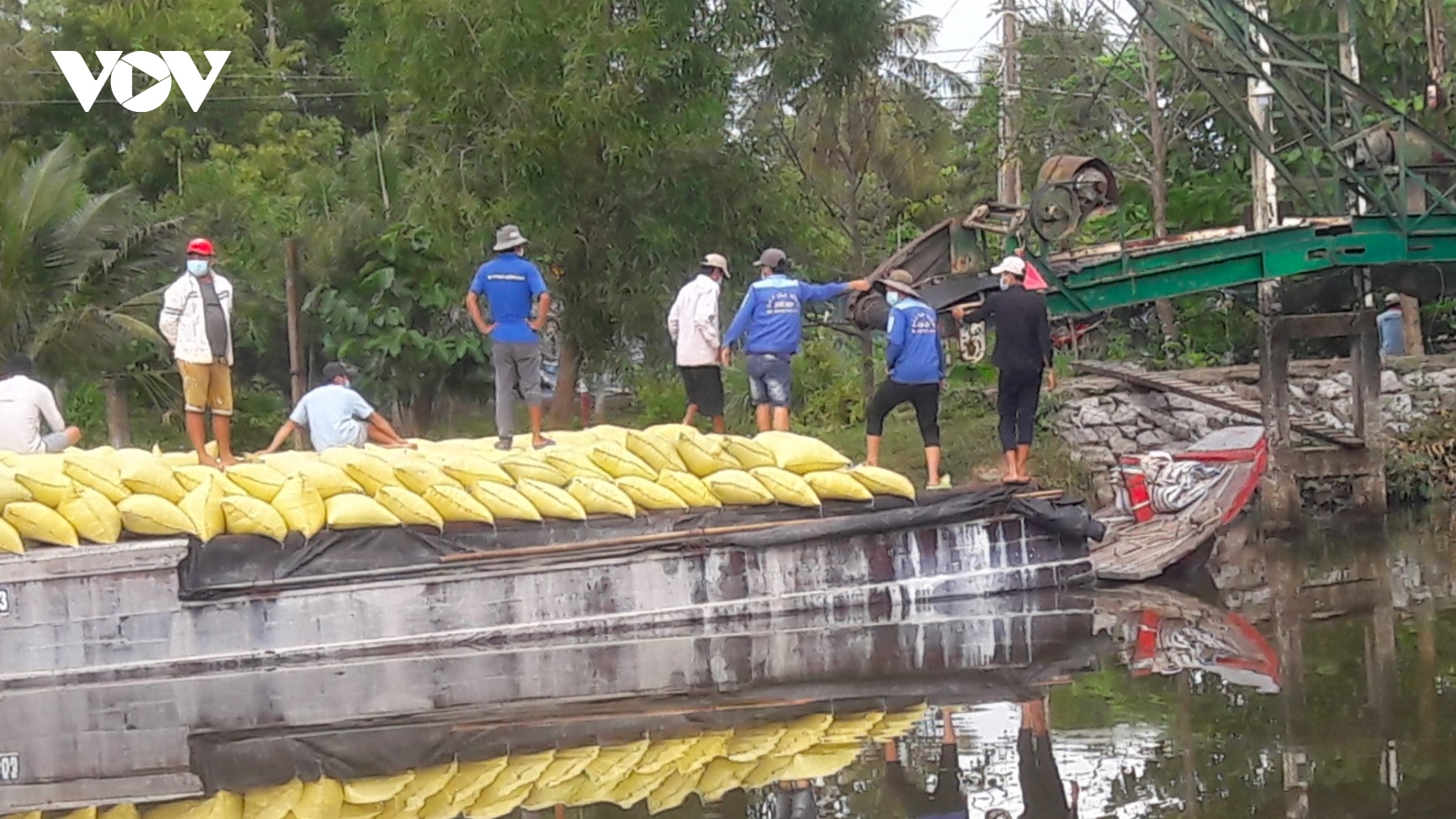 Vụ mua lúa không trả tiền ở Cà Mau: Chưa tìm được thương lái