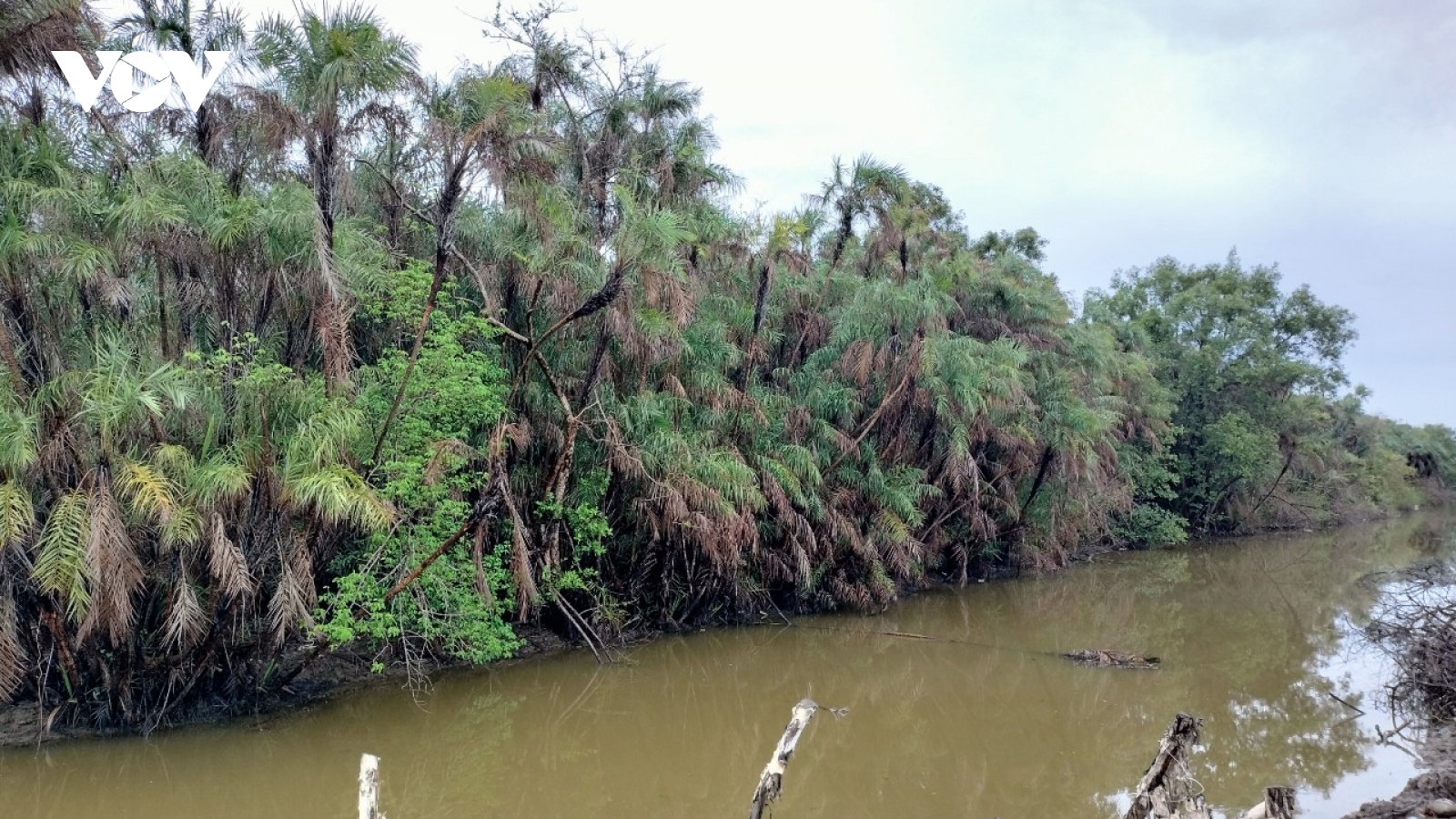 Cà Mau chỉ đạo rà soát “Vườn chim bị bỏ quên”