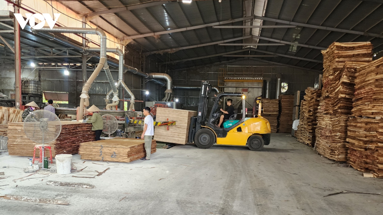 Tại nạn chết người tại xưởng gỗ trái phép, Bắc Giang lập đoàn kiểm tra khẩn