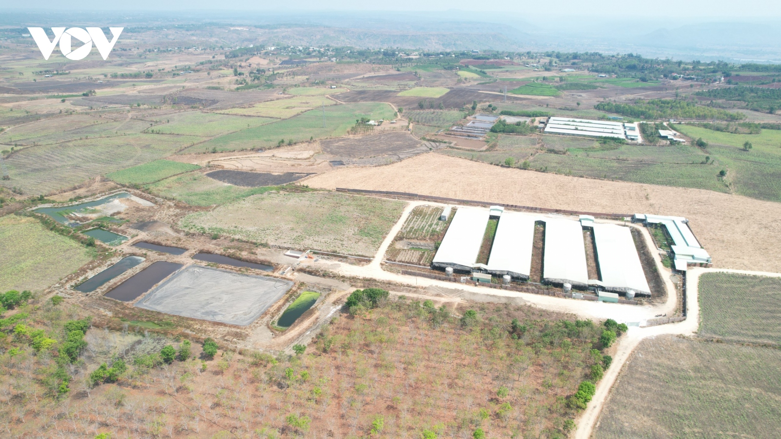 Kiến nghị xem xét trách nhiệm khi chậm xử lý trang trại chăn nuôi gây ô nhiễm