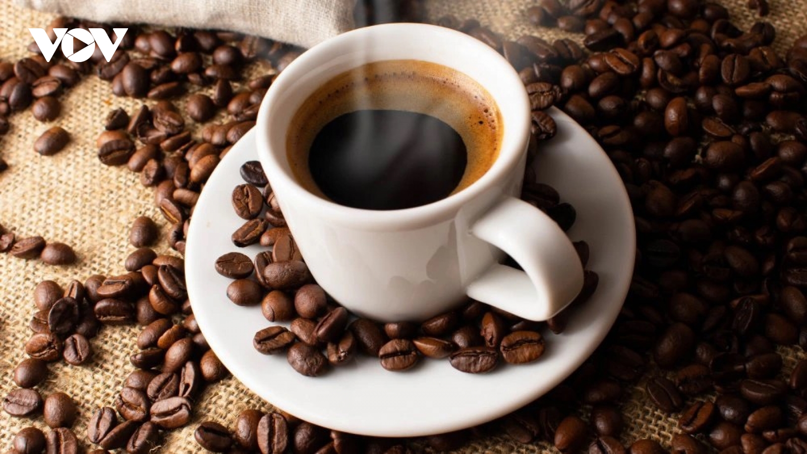 Giá cà phê hôm nay 30/6: Giá cà phê Robusta và Arabia đồng loạt giảm