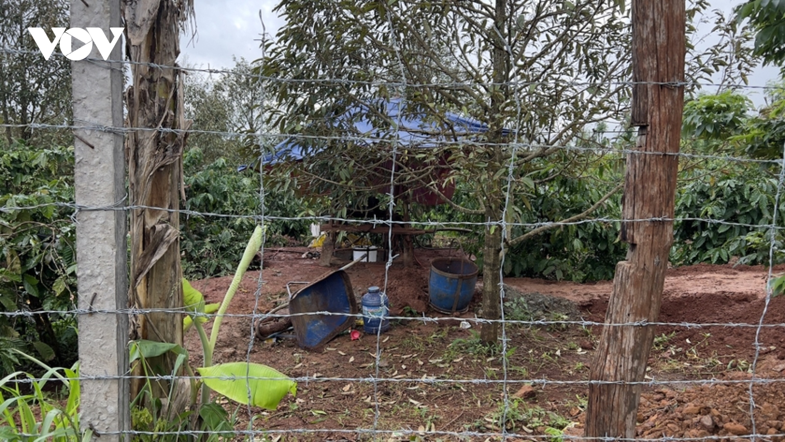 Điều tra nguyên nhân 2 người tử vong khi đang đào giếng thuê tại Gia Lai