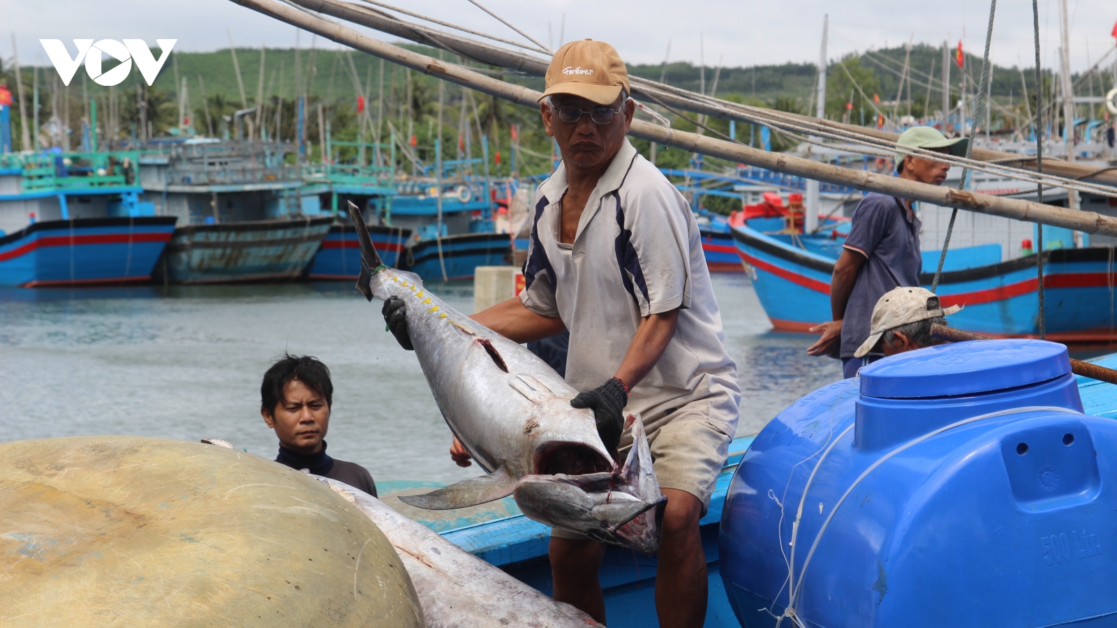 Nông lâm - thủy sản xuất siêu hơn 13 tỷ USD