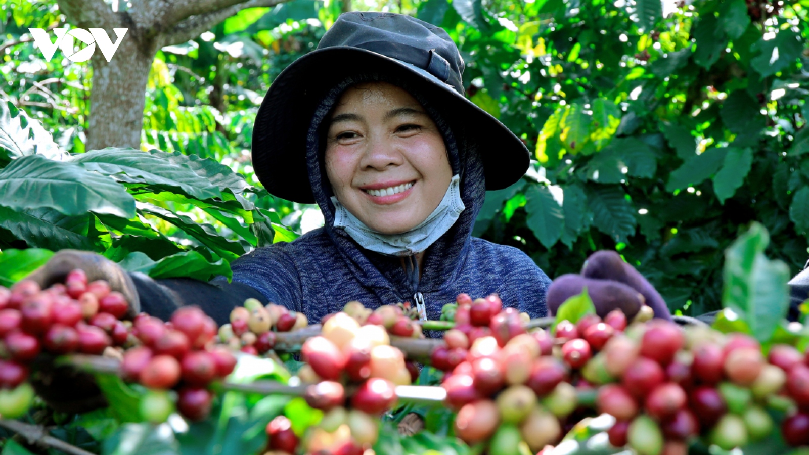 Xây dựng Buôn Ma Thuột trở thành “Thành phố cà phê của thế giới”