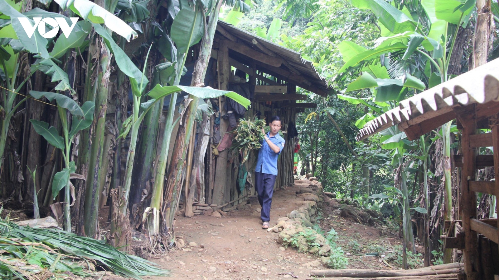 Đến ngày 31/10/2025 cơ bản hoàn thành mục tiêu xóa nhà tạm, nhà dột nát