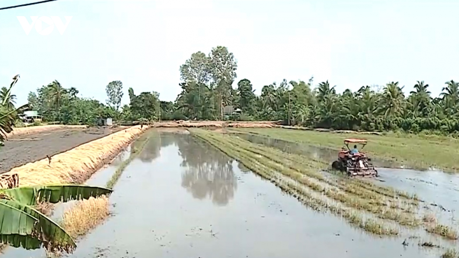 Hiệu quả của việc xả lũ lấy phù sa ở huyện Bình Tân, tỉnh Vĩnh Long