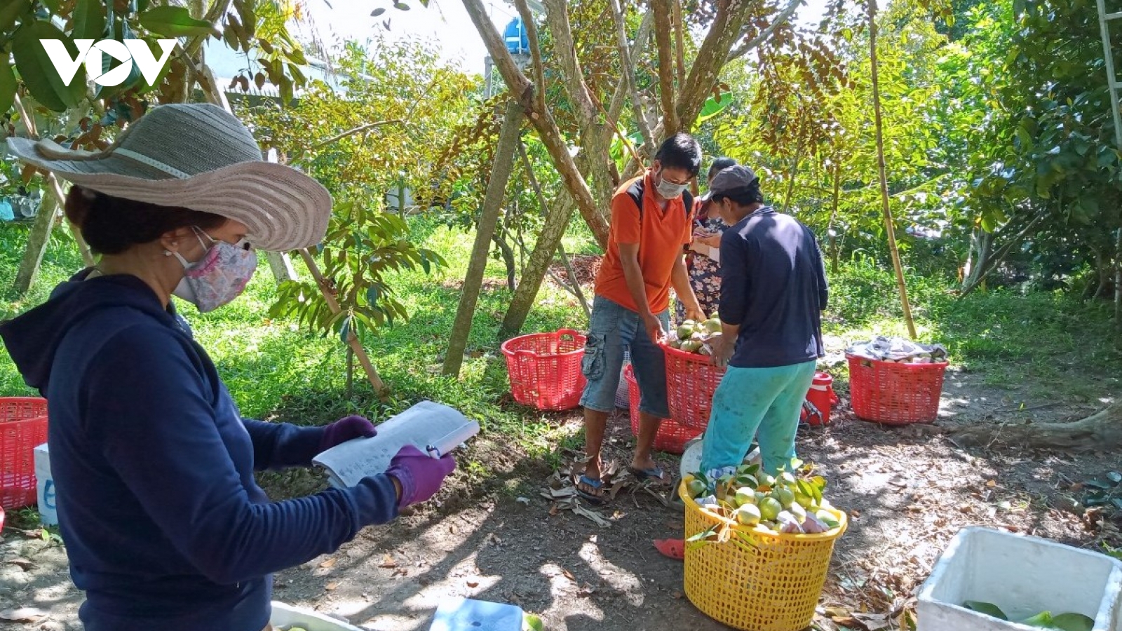 Nông nghiệp rà soát “dư địa” ngành hàng hướng đến tăng trưởng 4%