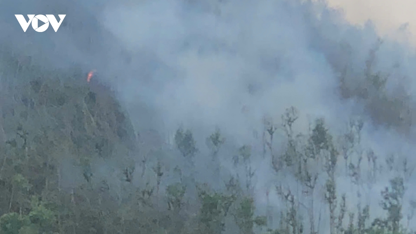 Lại xảy ra cháy rừng tại Kinh Môn, Hải Dương