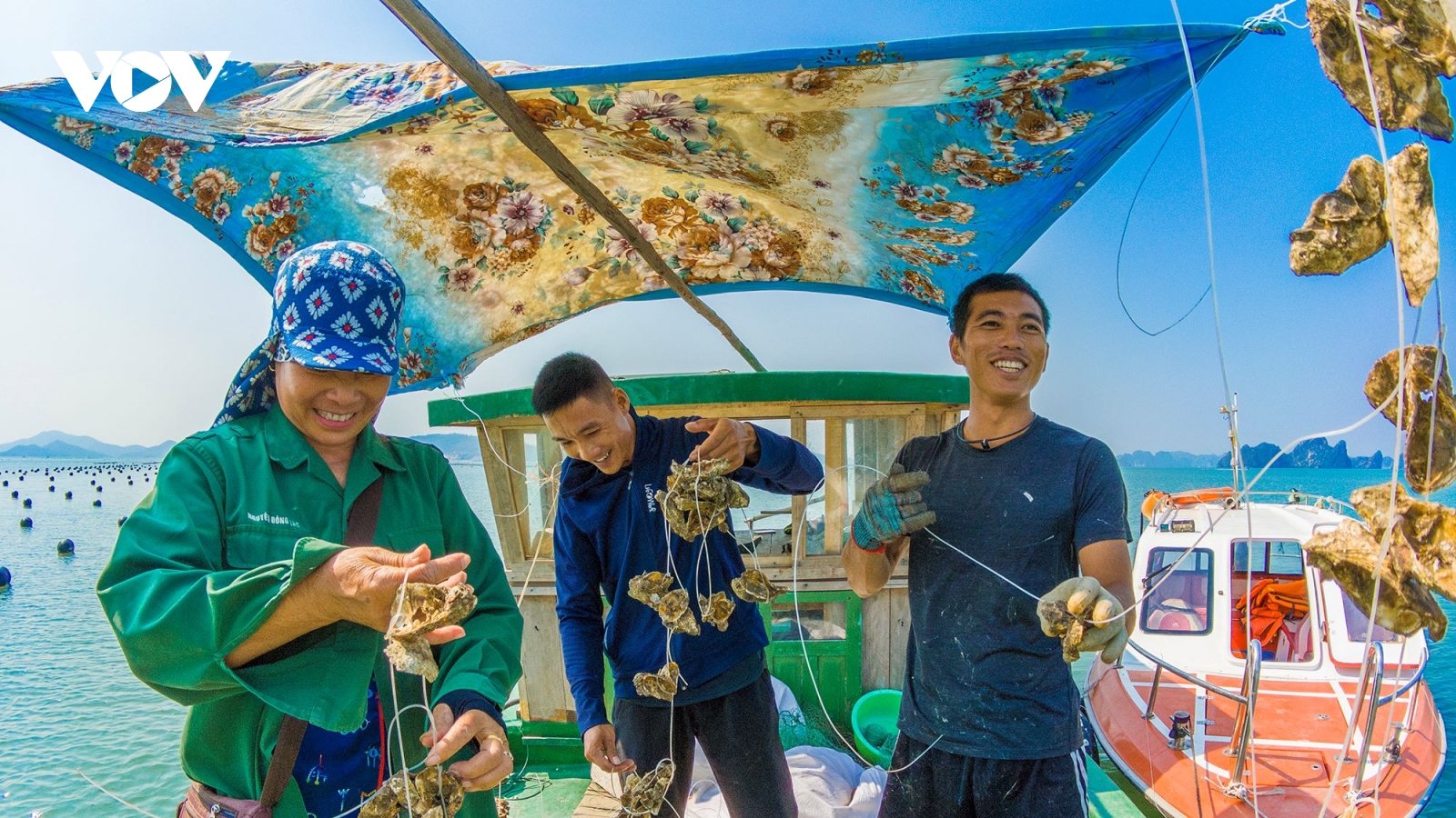 “Đứng dậy” giữa biển trời Đông Bắc