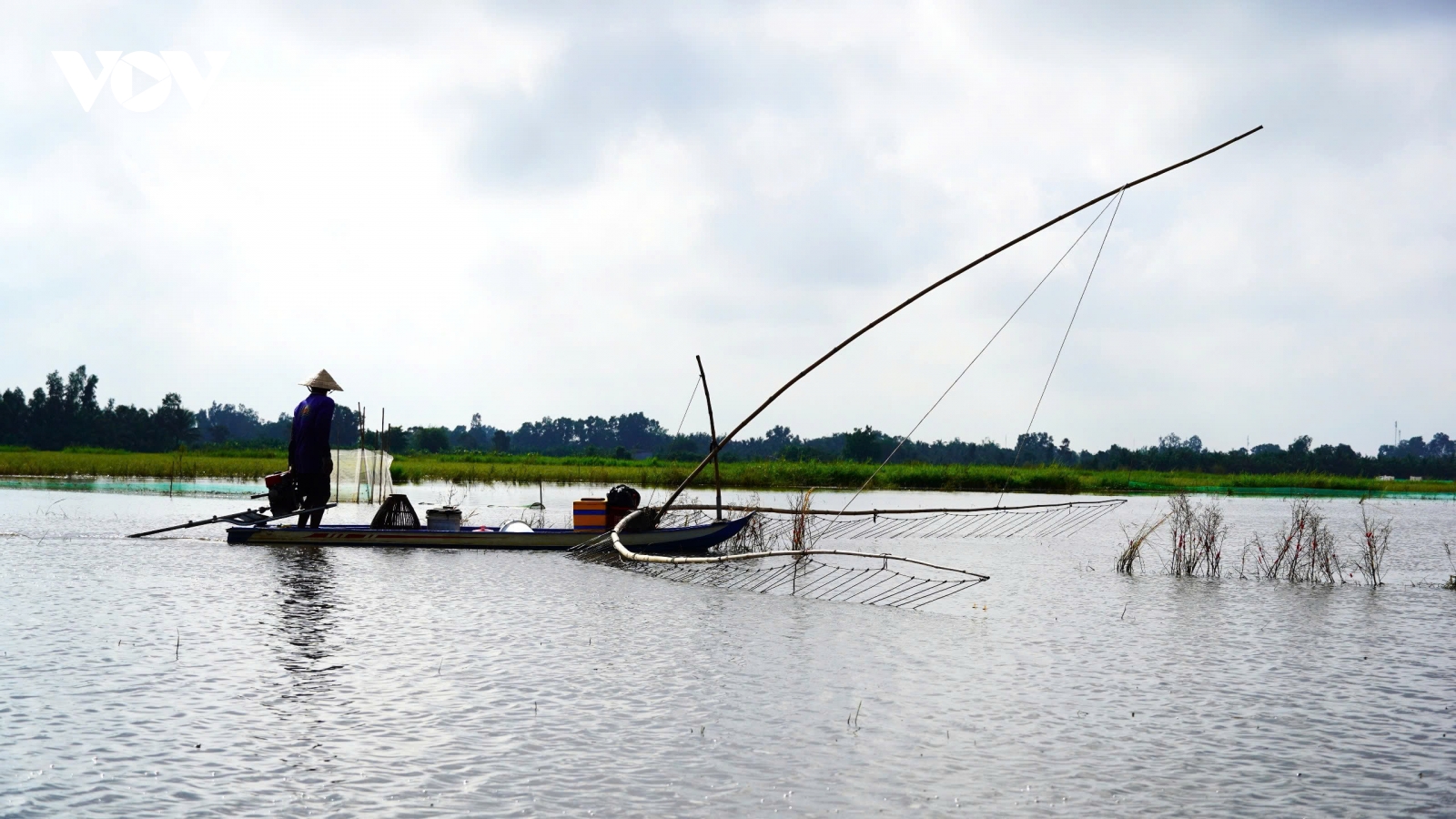 Nước ngập tràn đồng, dân Sóc Trăng đánh bắt thủy sản tự nhiên, thu nhập cao