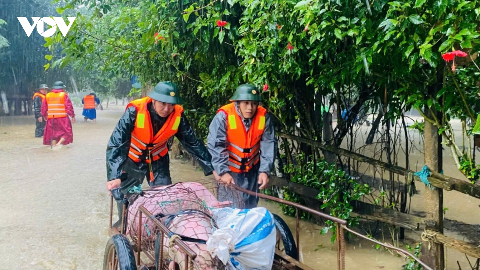 Một người mất tích, bắt đầu sơ tán dân vùng ngập lụt ở Quảng Bình