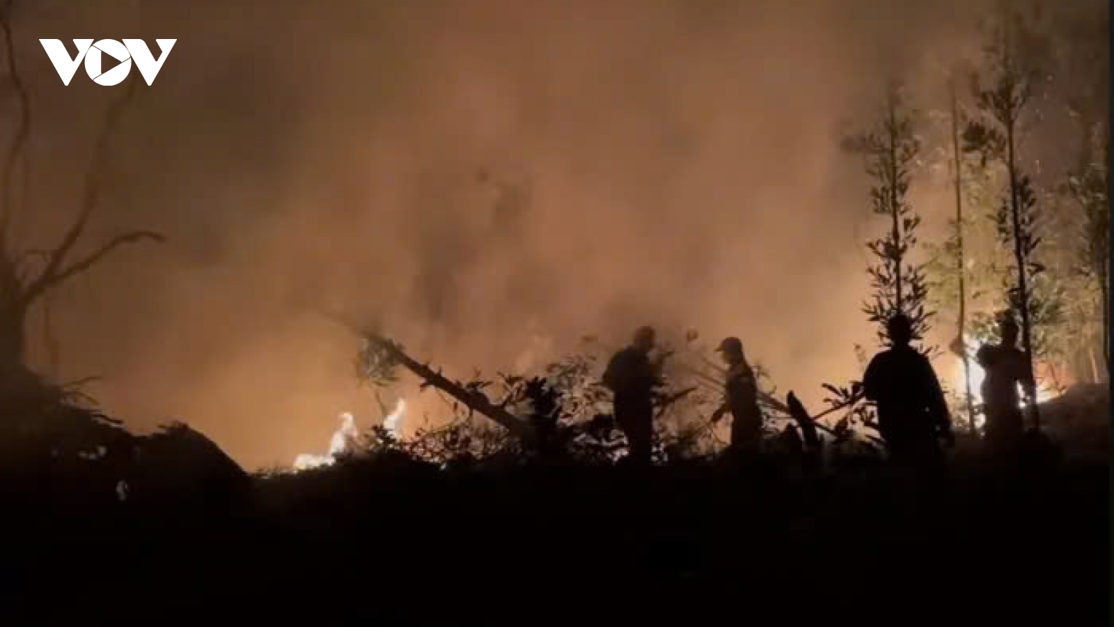 Hơn 100 người dập tắt đám cháy rừng tại núi Đá Vách, Hải Phòng