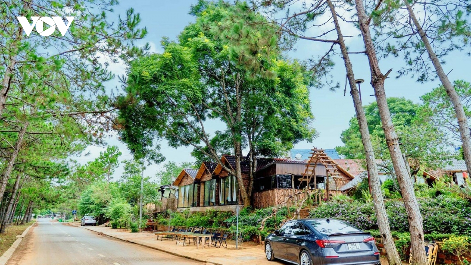 Khám phá vẻ đẹp xanh Măng Đen