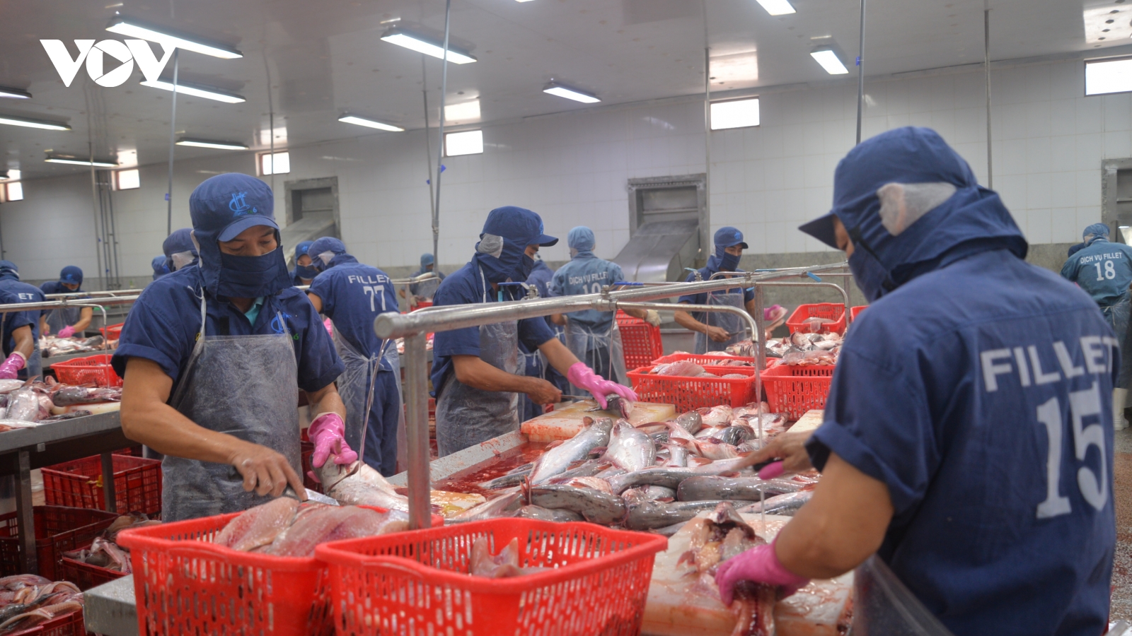 Đảm bảo 100 % vùng nuôi trồng thủy sản được kiểm soát về môi trường