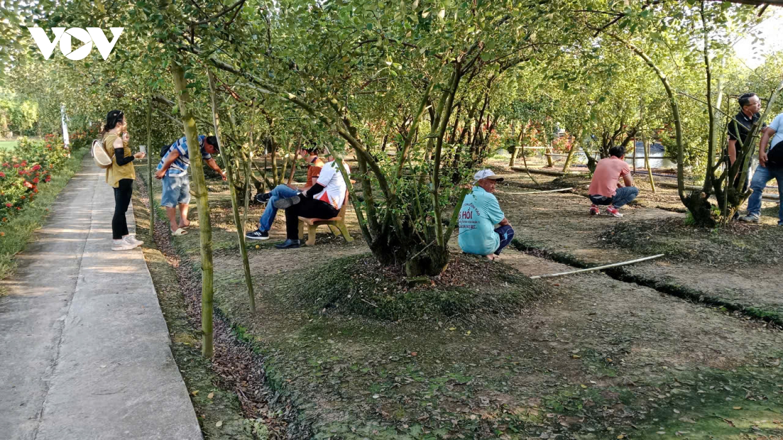 Đồng bằng sông Cửu Long tăng cường gắn kết cùng phát triển du lịch