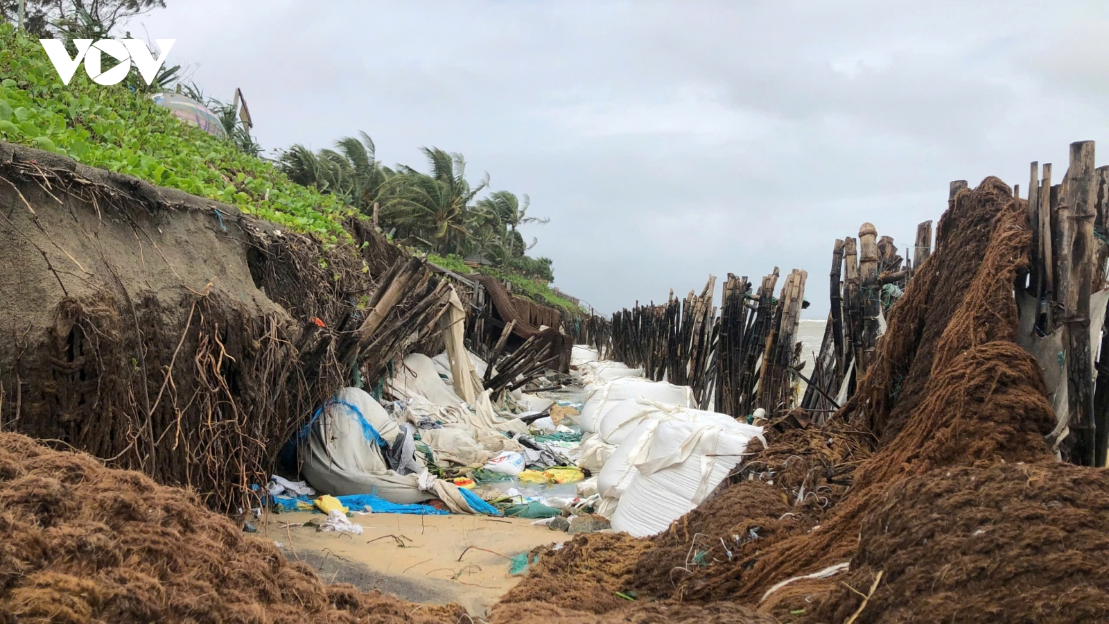 Bãi biển Hội An tiếp tục sạt lở nghiêm trọng