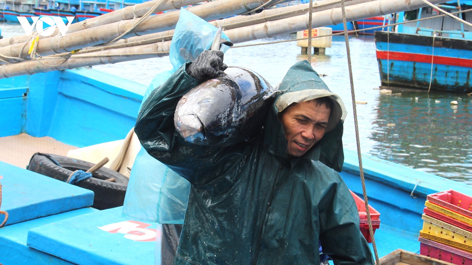 Nhật ký khai thác thủy sản điện tử giúp ngư dân kiểm soát tốt từng chuyến biển