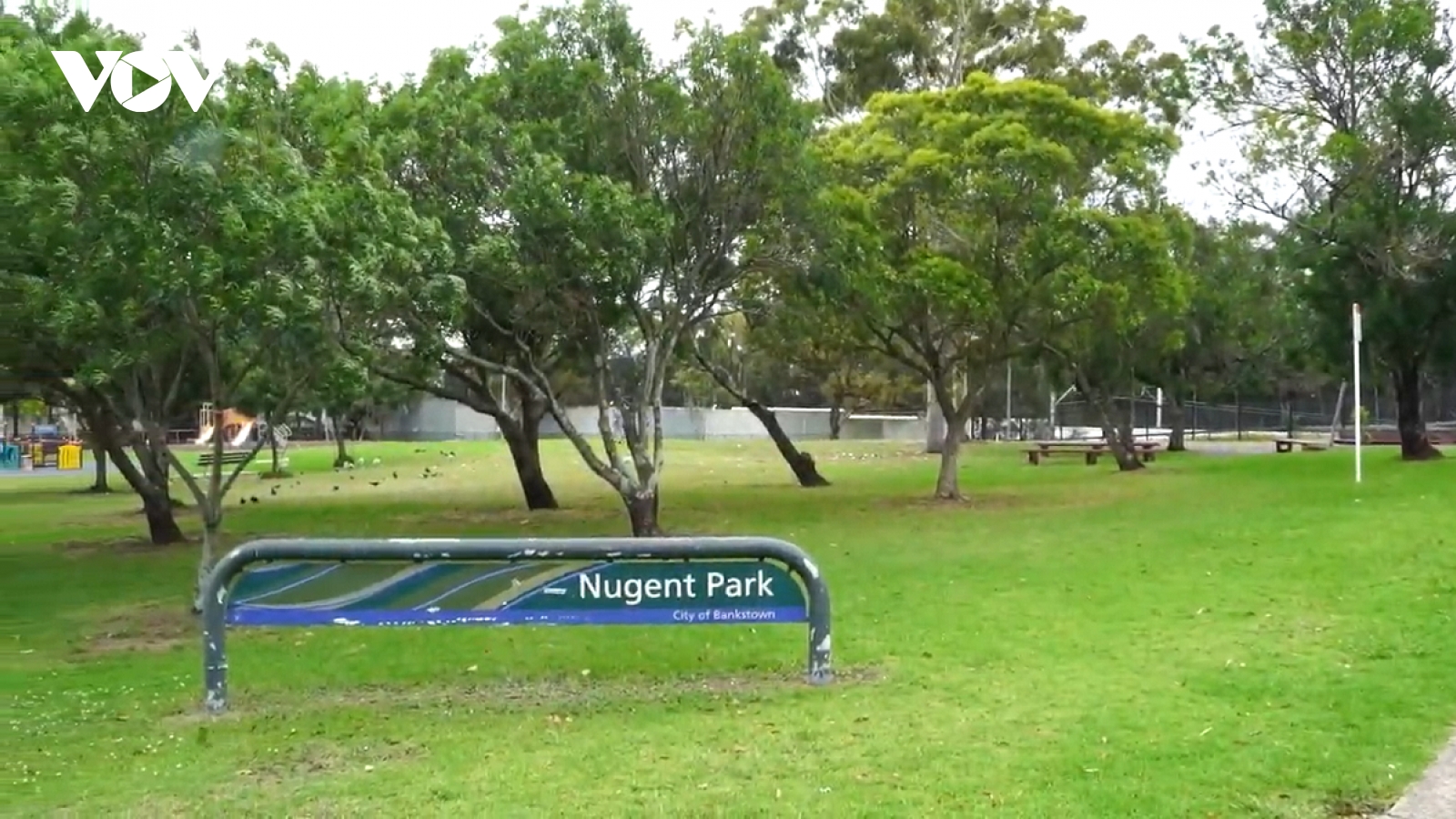 Du học sinh Việt Nam bị hành hung tại Australia: Lời kể của người trong cuộc