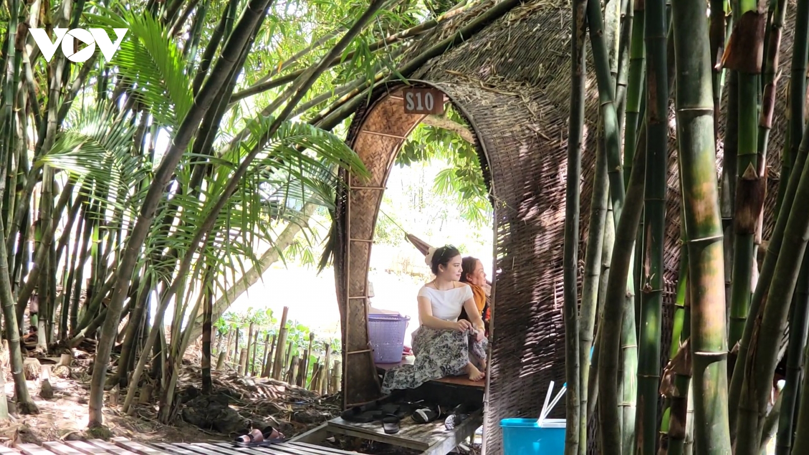 Thăm vườn tre sinh thái độc đáo ở miền Tây Nam Bộ