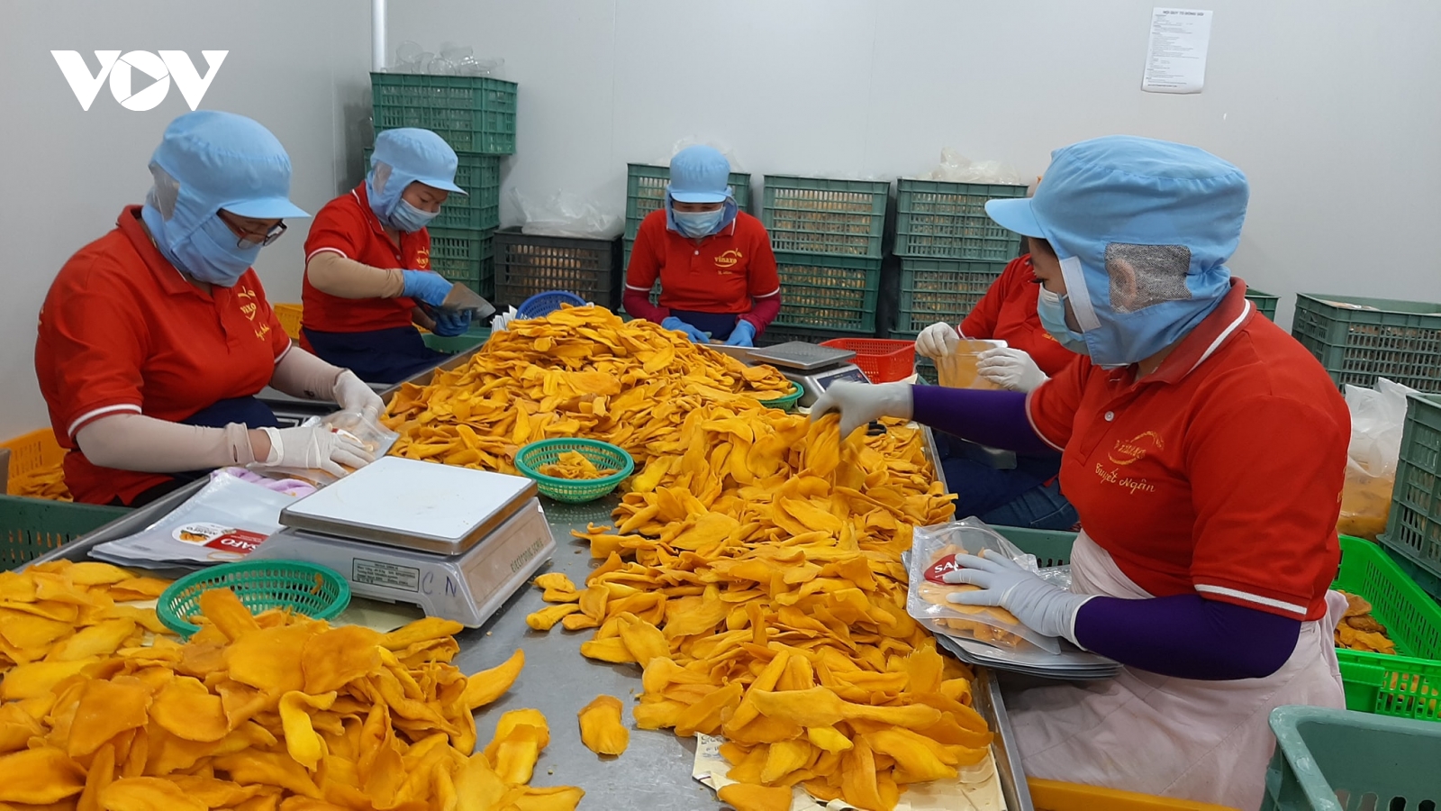Hoa Kỳ là thị trường xuất khẩu lớn nhất của Việt Nam