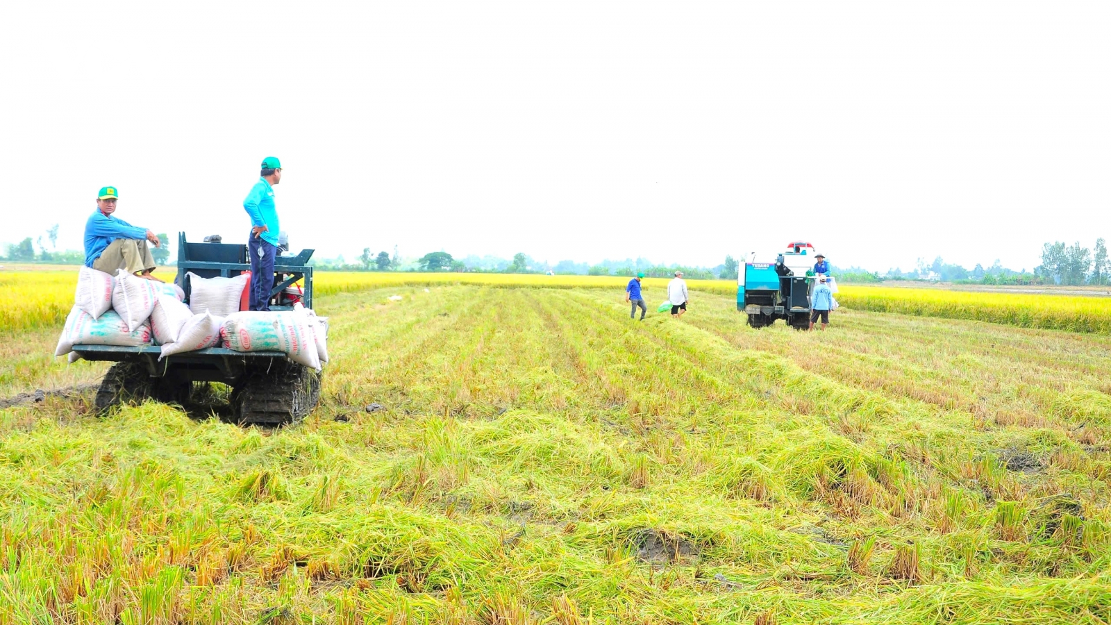 Nguồn nhân lực chất lượng cao “khiêm tốn” khiến ĐBSCL chậm phát triển bền vững