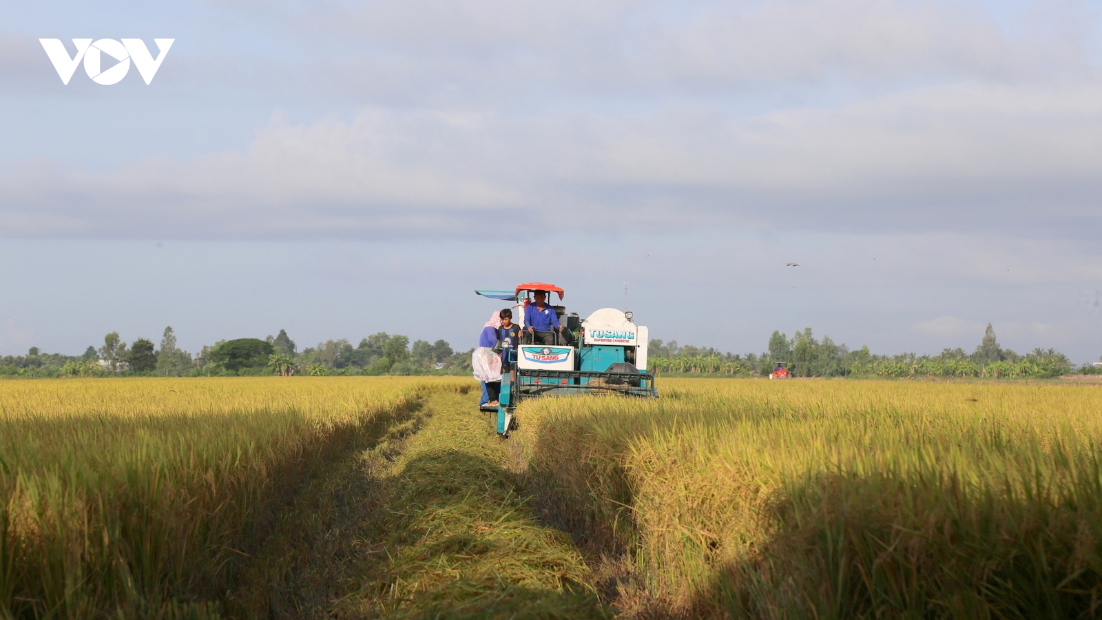 Khơi thông nguồn lực, tạo cú hích cho vựa lúa miền Tây